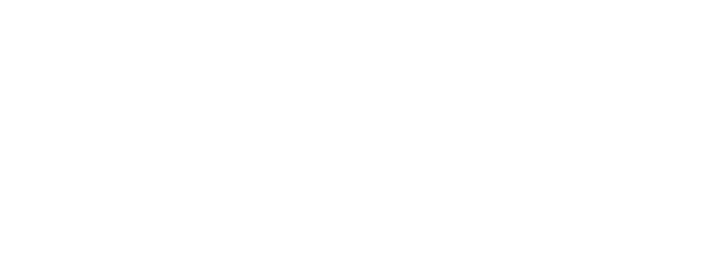 Vyndamax